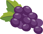 Grape illustration