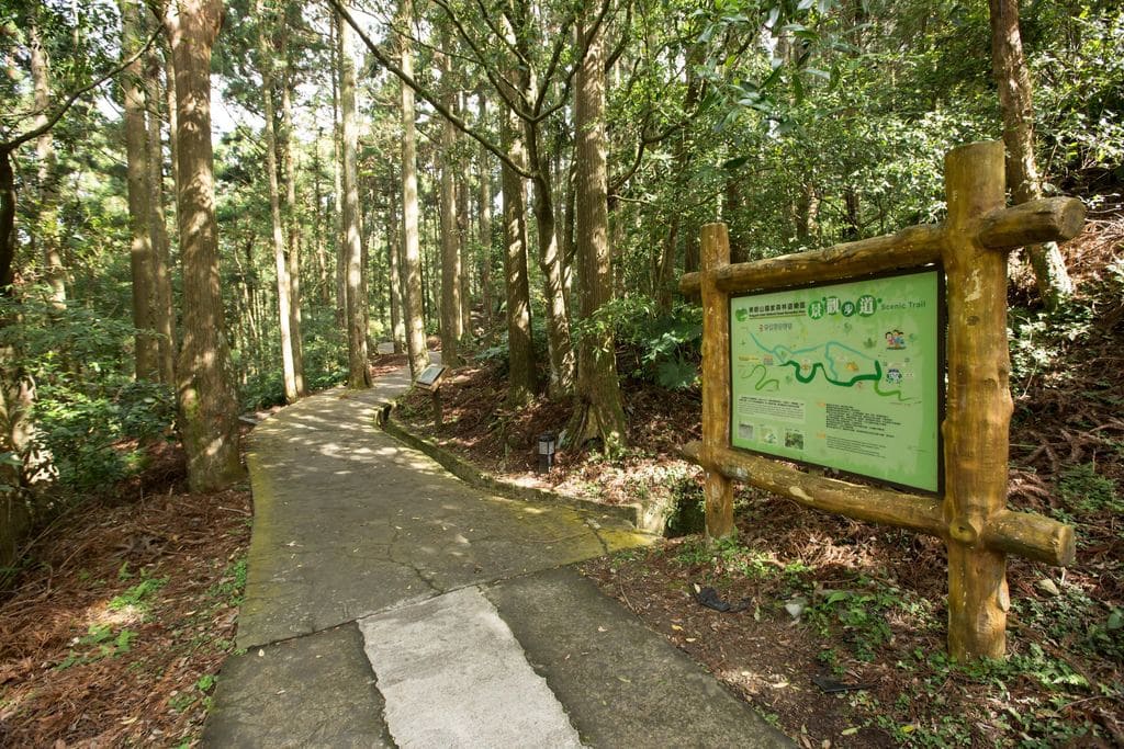 東眼山線 公車圖片