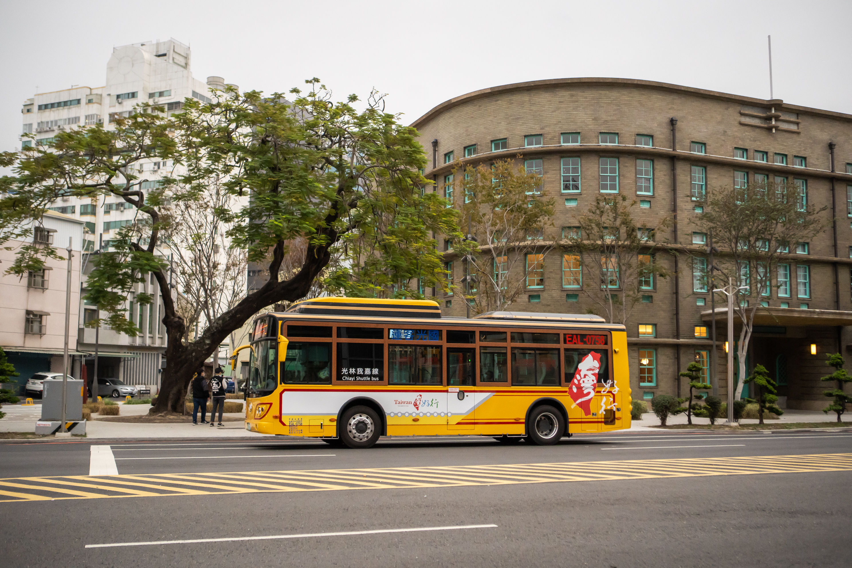 光林我嘉線 公車圖片