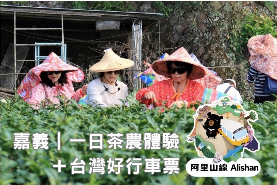 嘉義｜一日茶農體驗+台灣好行阿里山線來回車票